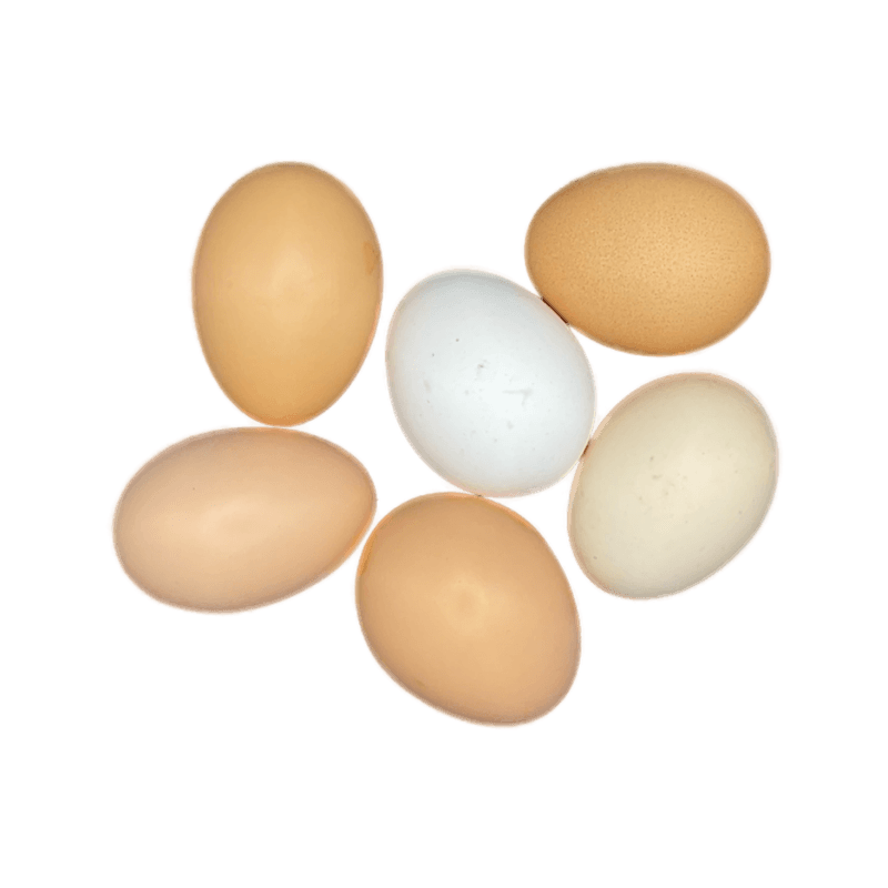 Яйця курячі